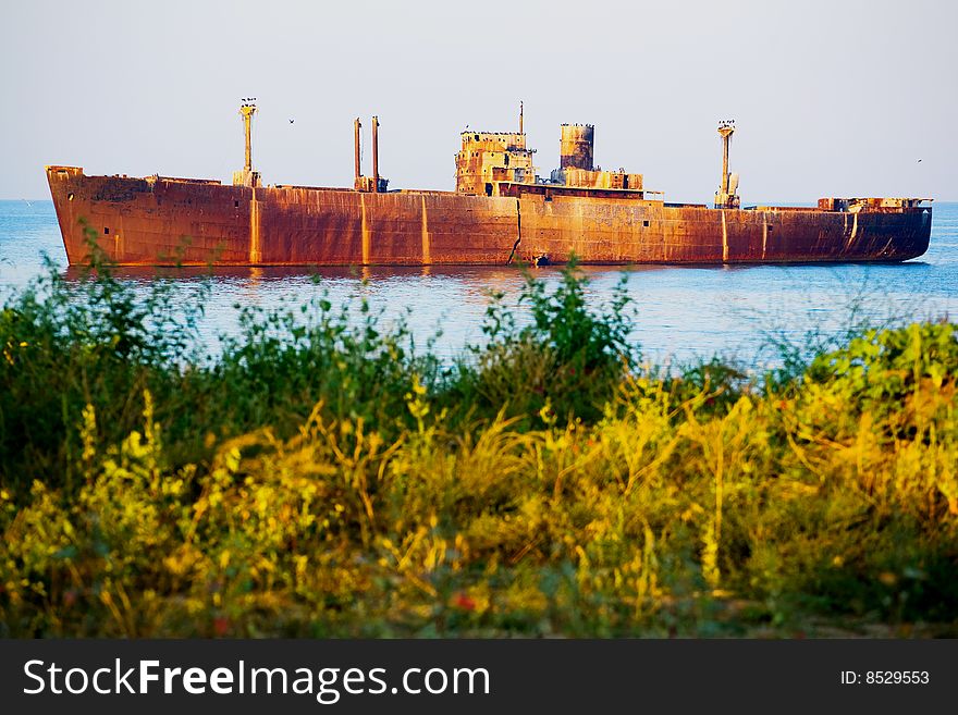 View of ship wreck at shore, vegetation in foreground