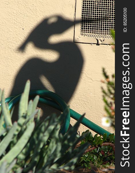 shadow of heron sculpture
