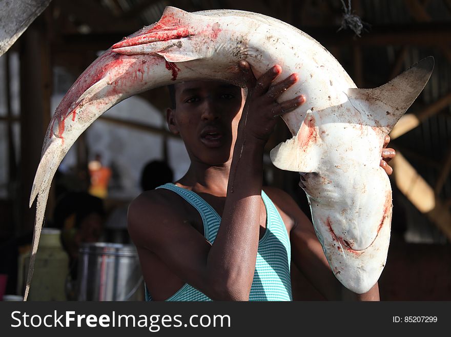 A Somali fisherman carries a shark to the market in Hamar Weyn district for sale. Mogadishu, Somalia. May 22, 2013. AU UN IST PHOTO / Ilyas A. Abukar. A Somali fisherman carries a shark to the market in Hamar Weyn district for sale. Mogadishu, Somalia. May 22, 2013. AU UN IST PHOTO / Ilyas A. Abukar