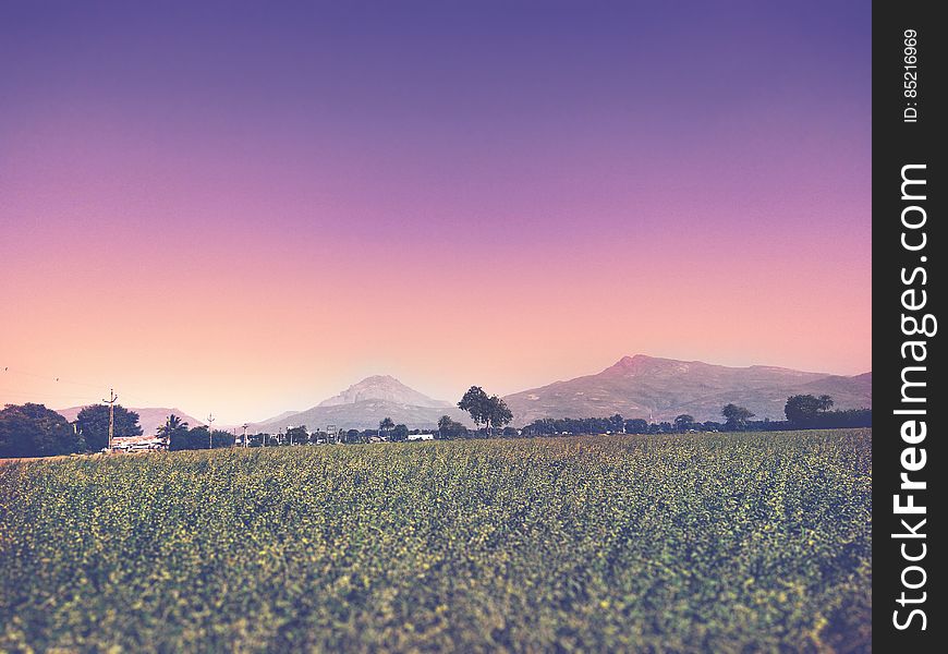 Green fields with colorful skies