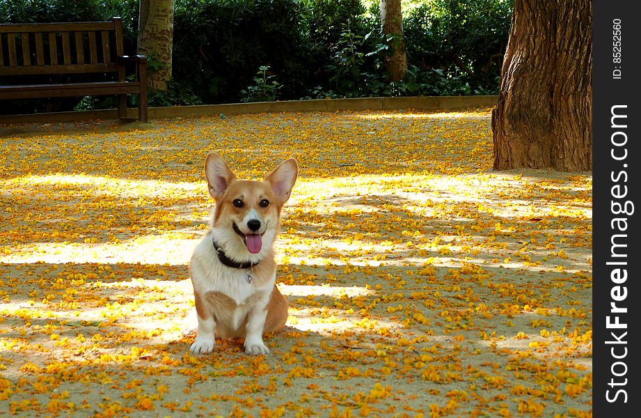 &#x22;This park rocks, mom!&#x22