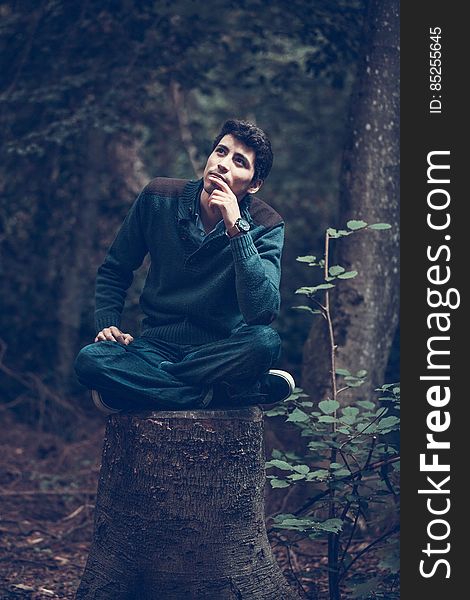 Man Sitting On Tree Stump