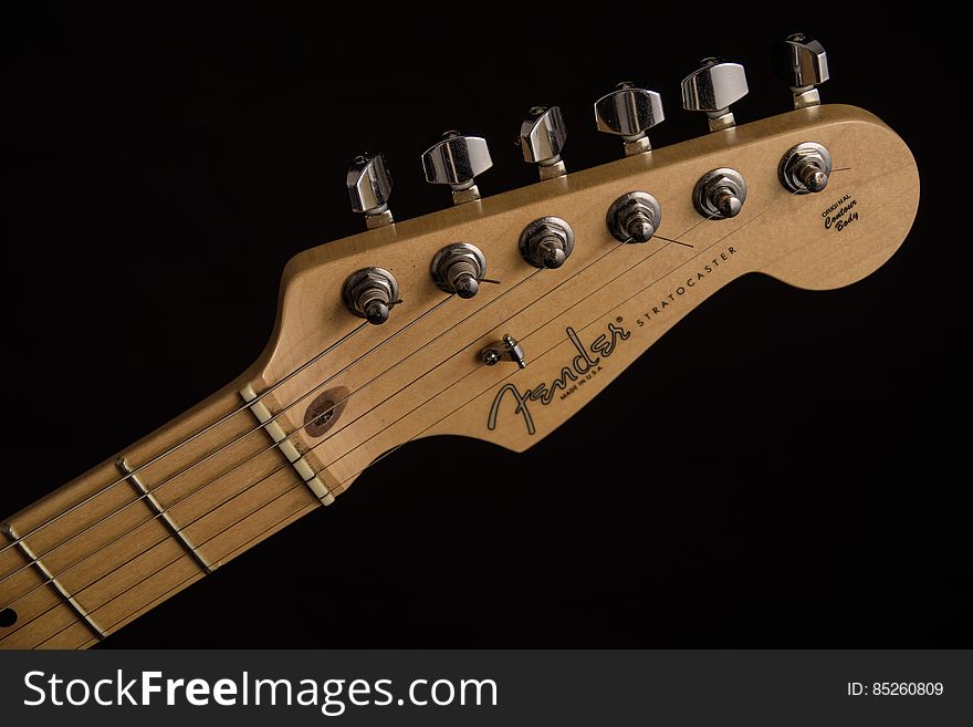Fender Guitar Head Stock
