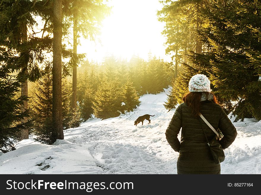 Rear View of Woman in Snow Covered Forest