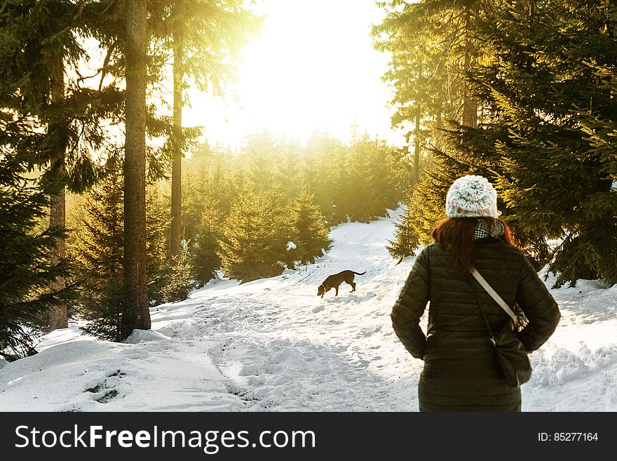 Rear View Of Woman In Snow Covered Forest