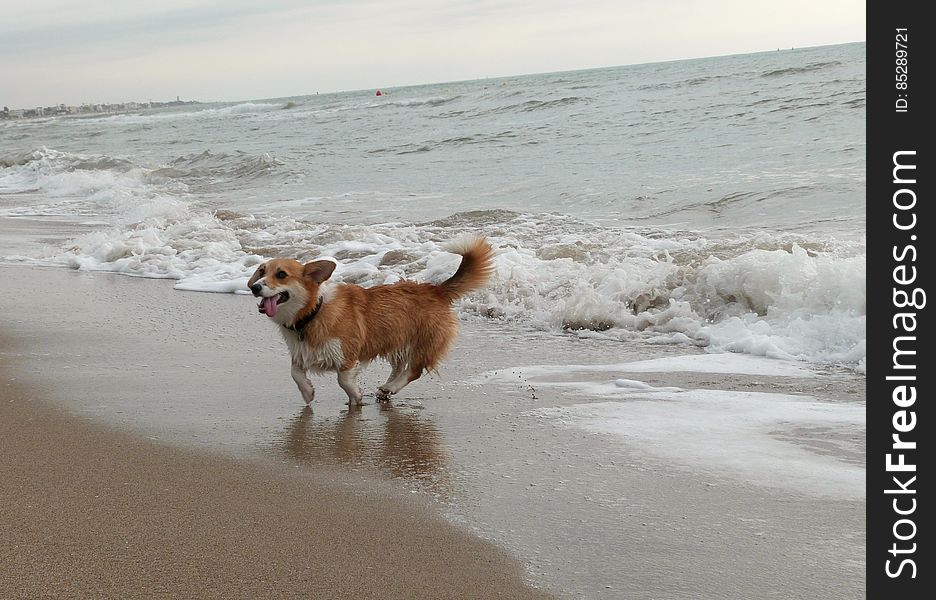 Beach Day