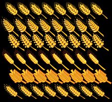 Wheat 3 Royalty Free Stock Images Wheat 3 Royalty Free Stock Images