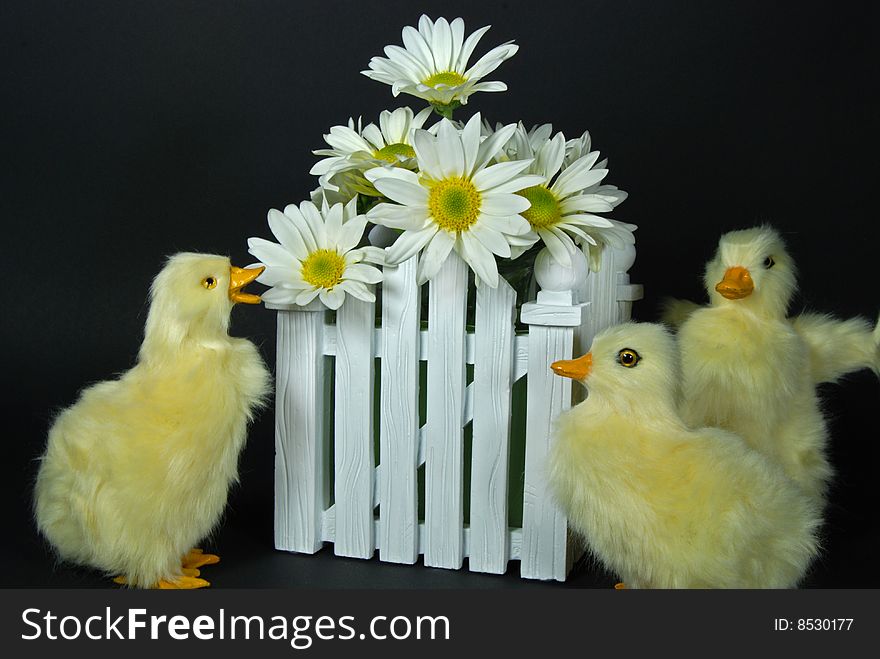 Duckling with a bouquet of daisies. Duckling with a bouquet of daisies.