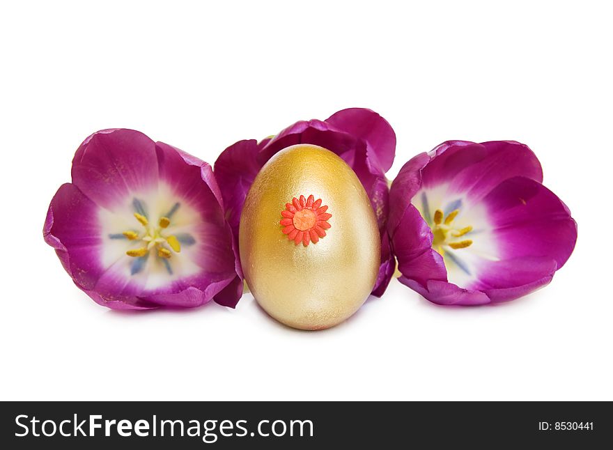 Celebrating Easter with golden treasure egg and spring tulip flowers. Isolated on white with clipping path. Celebrating Easter with golden treasure egg and spring tulip flowers. Isolated on white with clipping path.