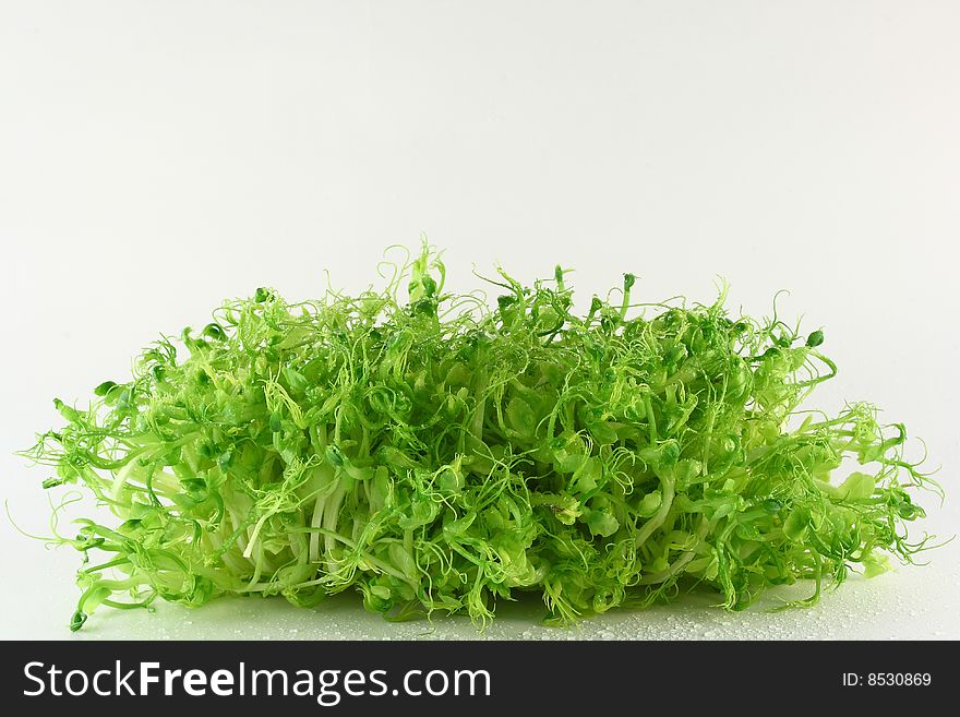 Bean sprouts on isolated white background. Bean sprouts on isolated white background