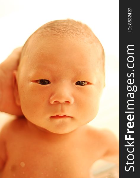 Newborn naked asia baby boy  in bath. Newborn naked asia baby boy  in bath