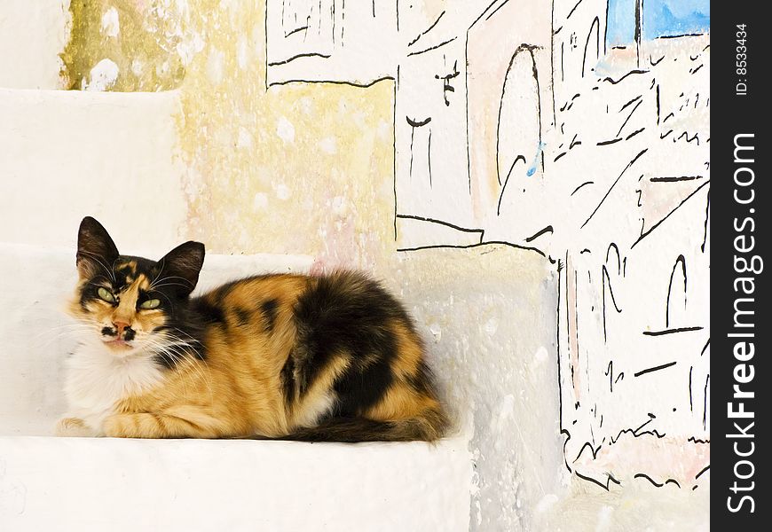 A Greek cat rests on steps on the island of Ios, Cyclades, Greece. A Greek cat rests on steps on the island of Ios, Cyclades, Greece