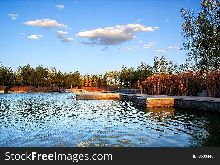 Autumn lake