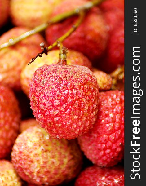 Litchi chinensis