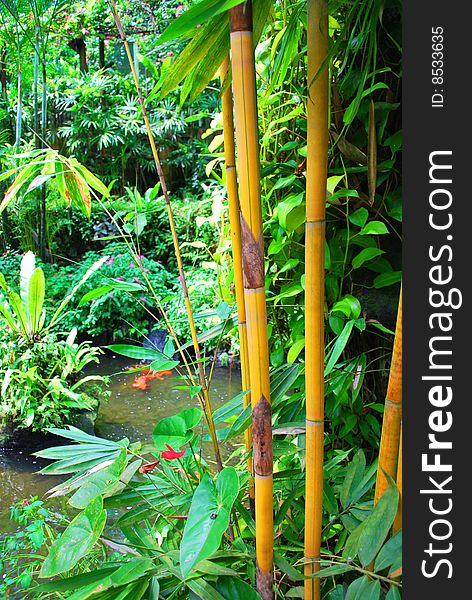 Image of the garden at Taman Rama-rama at malaysia