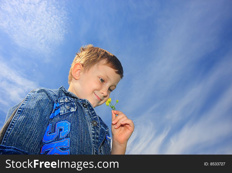 The little boy smells yellow flower. The little boy smells yellow flower