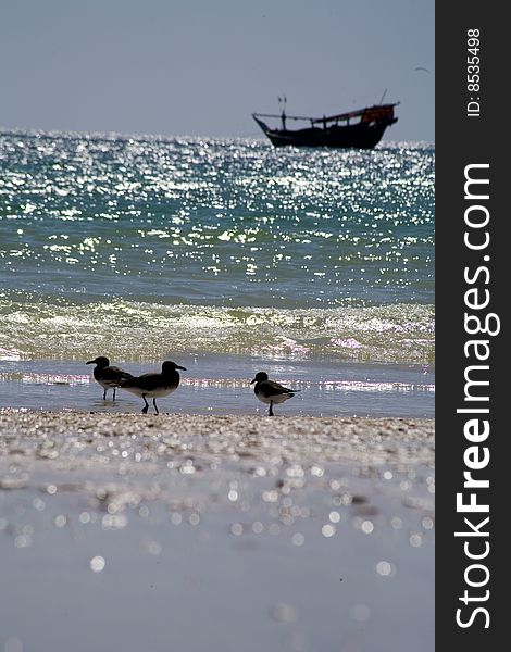 Indian ocean in the afternoon, fishing vessel. Indian ocean in the afternoon, fishing vessel