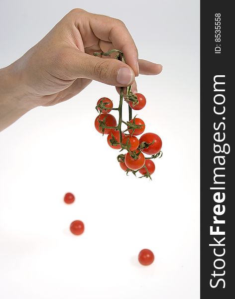 Hand holding a stem  of cherry tomato.