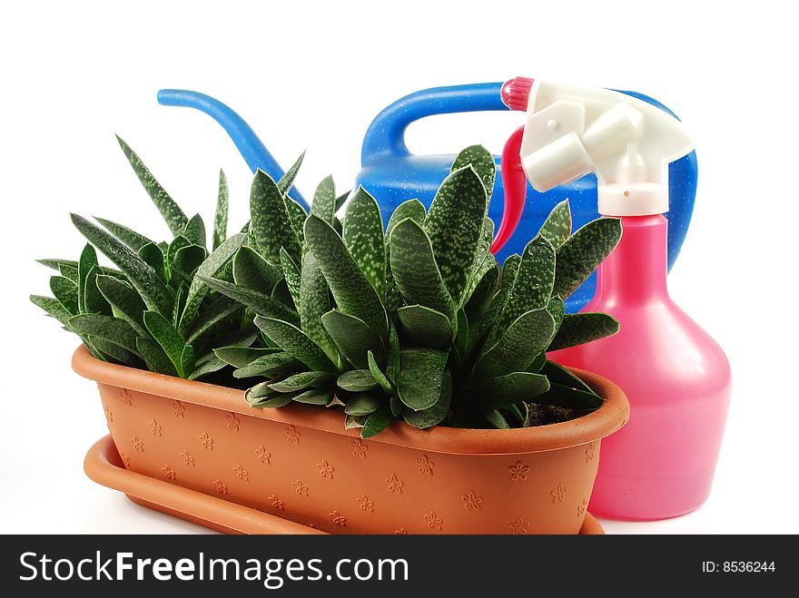 Flowerpot, watering-can and sprayer on a white background