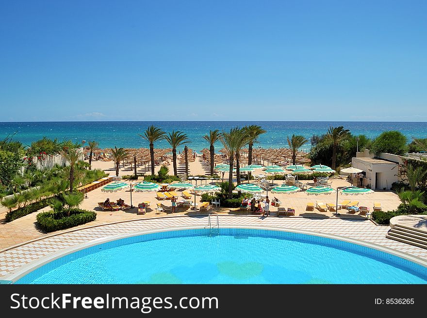 Palm trees, beach, bright sun, yellow sand. Palm trees, beach, bright sun, yellow sand