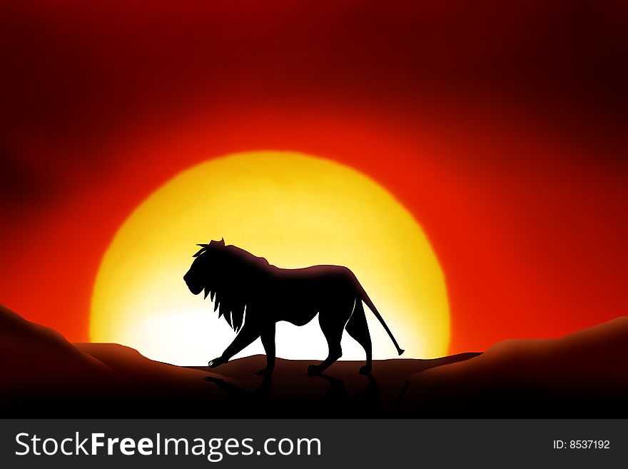 Lonesome lion in a sunset of the sahara desert