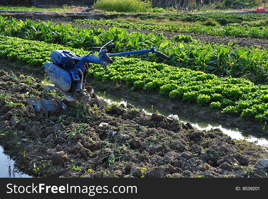 Machine in the farm, field