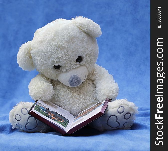 White Teddy Bear With Opened Book Photo