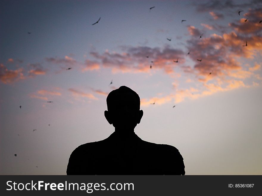 Silhouette of a Man Watching Birds Gliding on the Sky