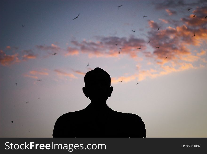 Silhouette Of A Man Watching Birds Gliding On The Sky