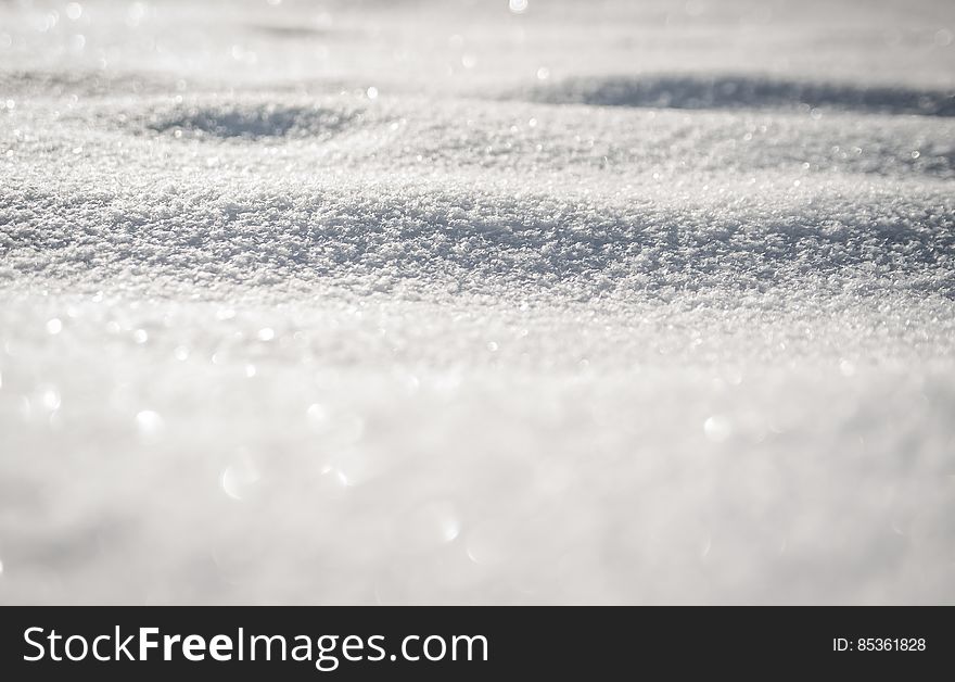 Snow Covered Ground