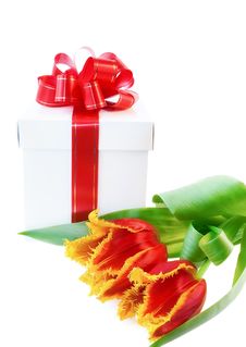 Present And Tulips Royalty Free Stock Images Present And Tulips Royalty Free Stock Images