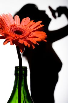 Silhouette Of A Woman Royalty Free Stock Photos