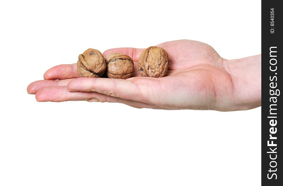 Hand holding three walnuts isolated over white background. Hand holding three walnuts isolated over white background
