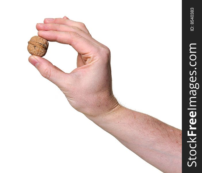 Hand holding a walnut isolated over white background