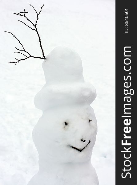Head of all natural made snowman in winter scene. Head of all natural made snowman in winter scene