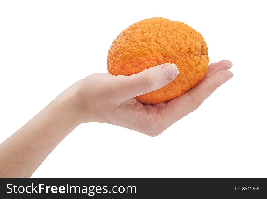 Orange In Hand On White Background