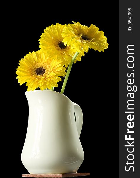 Bright yellow flowers in a white pitcher, isolated on black