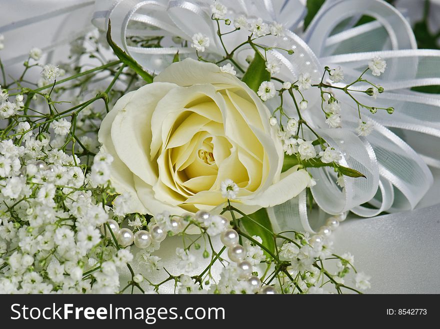Single white rose with baby's breath on satin. Single white rose with baby's breath on satin.
