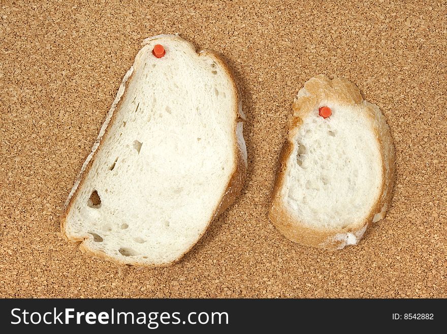 Two slices of bread pinned to corkboard