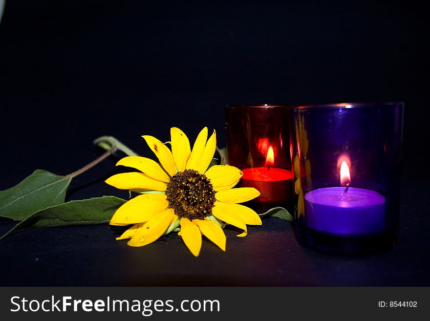 Sunflower and candles on romantic table