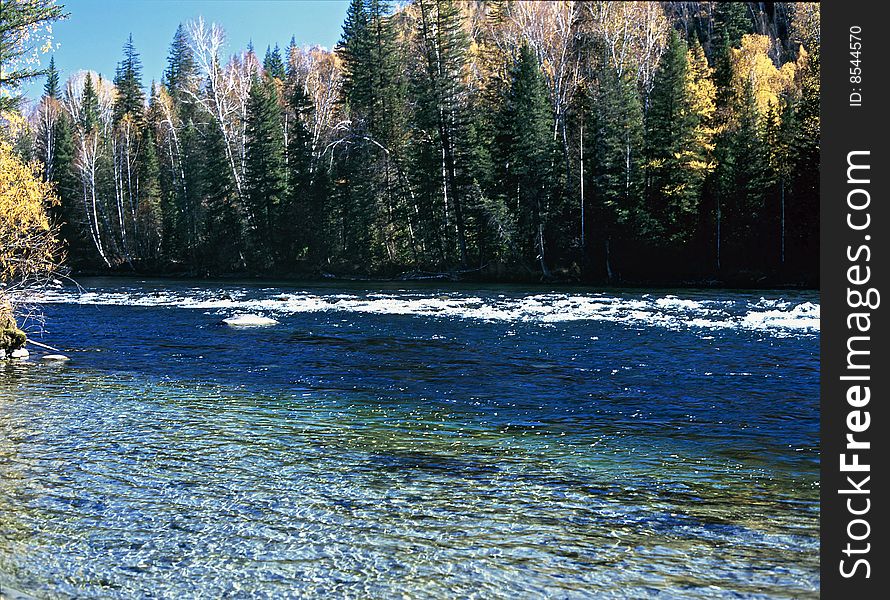 China/Xinjiang: The Fall Trees And Hemu River