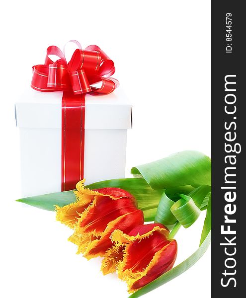 Present and tulips  against a white background