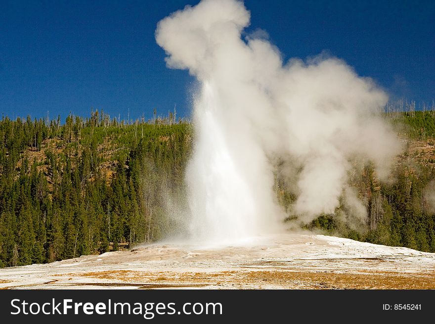 The famous geyser at Yellowstone Park in September. The famous geyser at Yellowstone Park in September