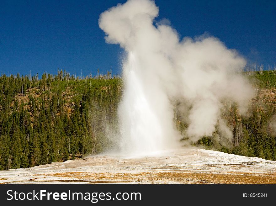 Old Faithful