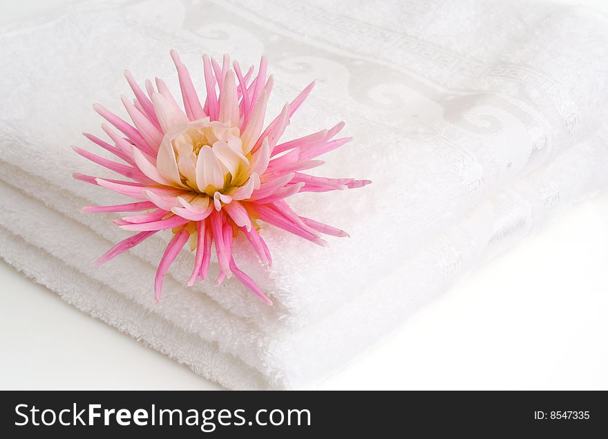 Flower on a terry towel