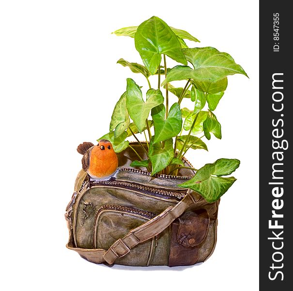 Ornamental flowerpot to flower in the form of an old bag and a green house plants. Ornamental flowerpot to flower in the form of an old bag and a green house plants