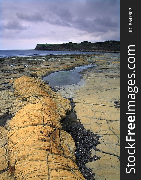 The lovely colors of the rocks from Kimmeridge Bay. The lovely colors of the rocks from Kimmeridge Bay