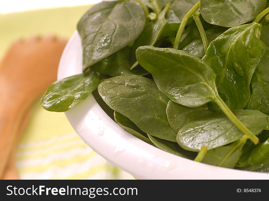 Organic spinach freshly washed draining in a colander. Organic spinach freshly washed draining in a colander