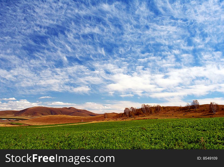 This photo was taken at Bashang grassland in Inner Mongolia on Sep.25, 2006。From view you can see beautiful blue sky, splendid cloudscape and green carrots farm. This photo was taken at Bashang grassland in Inner Mongolia on Sep.25, 2006。From view you can see beautiful blue sky, splendid cloudscape and green carrots farm.