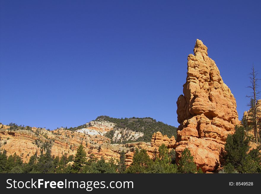 Bryce Canyon national park highway view in the spring
